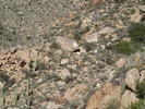 photo thumbnail #10