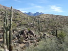 photo thumbnail #11
