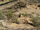 photo thumbnail #15