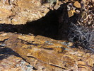 photo thumbnail #6