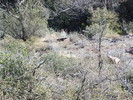photo thumbnail #10