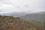 photo thumbnail #15