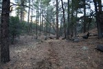 photo thumbnail #8