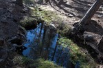 photo thumbnail #13