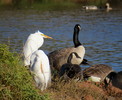 photo thumbnail #7