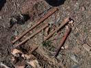 photo thumbnail #6