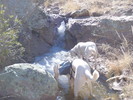 photo thumbnail #1
