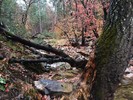 photo thumbnail #8