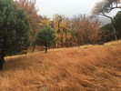 photo thumbnail #15