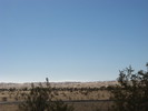photo thumbnail #15
