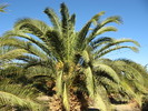 photo thumbnail #10