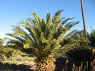 photo thumbnail #11