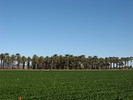 2014-12-22 :3: Winterhaven :: Jim