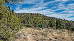 photo thumbnail #15