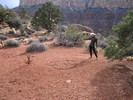 photo thumbnail #3