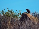 photo thumbnail #7