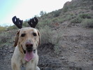 photo thumbnail #1