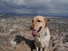 photo thumbnail #2