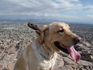 photo thumbnail #3