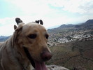 photo thumbnail #5