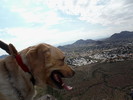 photo thumbnail #6