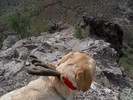 photo thumbnail #7