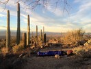 photo thumbnail #5