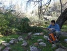 photo thumbnail #4