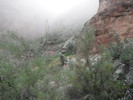 photo thumbnail #2