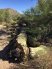 photo thumbnail #10
