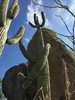 photo thumbnail #15