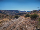 photo thumbnail #2