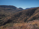 photo thumbnail #9