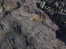 photo thumbnail #13