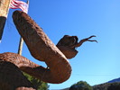 photo thumbnail #7