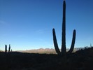 photo thumbnail #1