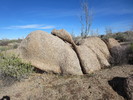 photo thumbnail #3