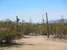 photo thumbnail #5