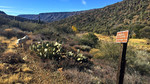 photo thumbnail #5