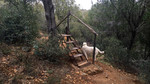 photo thumbnail #11
