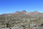photo thumbnail #2