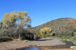 photo thumbnail #11