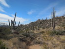 photo thumbnail #6