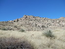 photo thumbnail #2