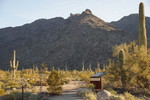 photo thumbnail #5
