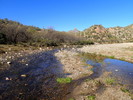 photo thumbnail #7