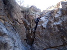 photo thumbnail #8