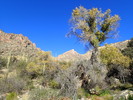 photo thumbnail #3