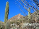 photo thumbnail #5