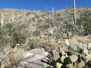 photo thumbnail #7